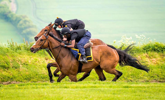 Abdul enjoying his work as a Rider Groom in Berkshire