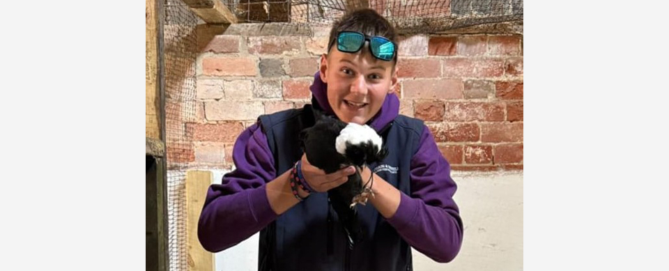 Ayden - Apprentice at Greatwood Charity