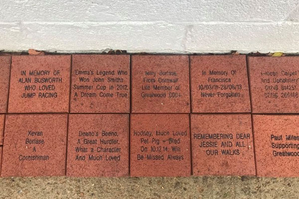 Guardian Bricks