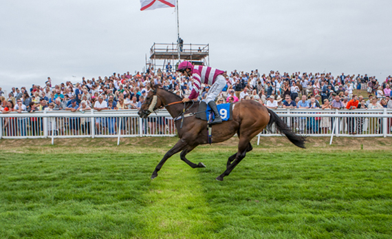 Winner of the Ultima Business Solutions Handicap Chase 