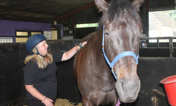 Linda grooming Aldaado at Greatwood Charity